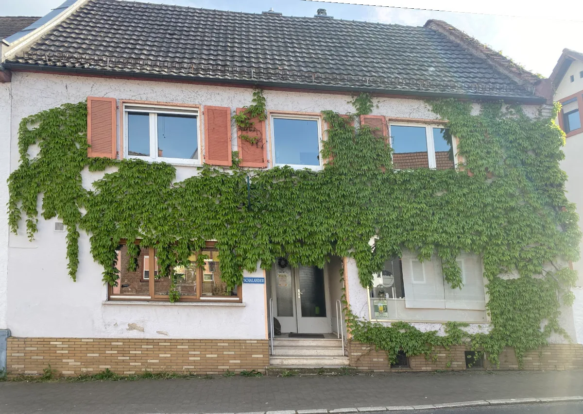 Das weinberankte Haus des Schalander in Hochstadt